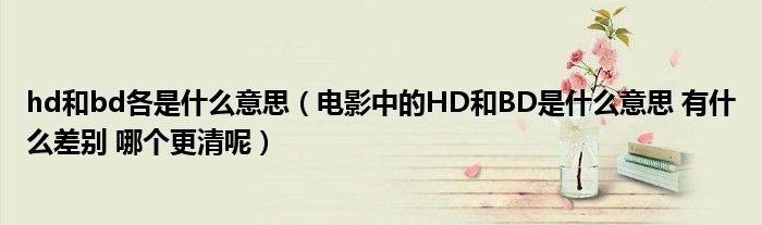 hd和bd各是什么意思(电影中的HD和BD是什么意思 有什么差别 哪个更清呢)