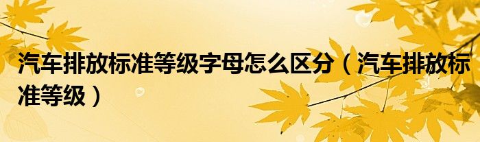 汽车排放标准等级字母怎么区分(汽车排放标准等级)