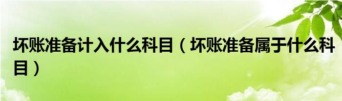 坏账准备计入什么科目(坏账准备属于什么科目)