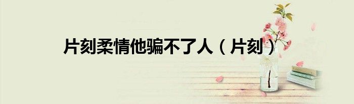 片刻柔情他骗不了人(片刻)
