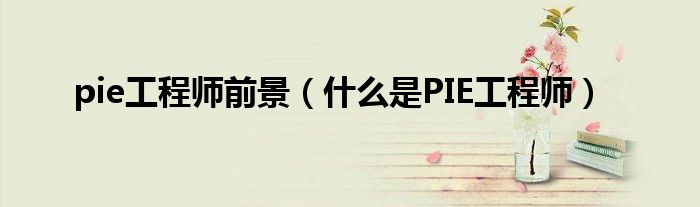 pie工程师前景(什么是PIE工程师)