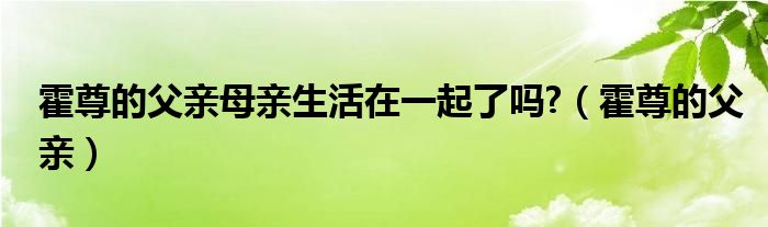 霍尊的父亲母亲生活在一起了吗?(霍尊的父亲)