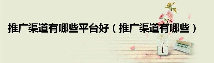 推广渠道有哪些平台好(推广渠道有哪些)