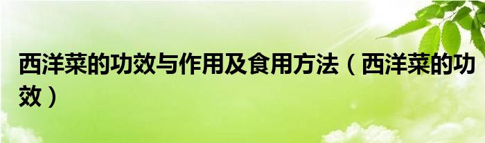 西洋菜的功效与作用及食用方法(西洋菜的功效)