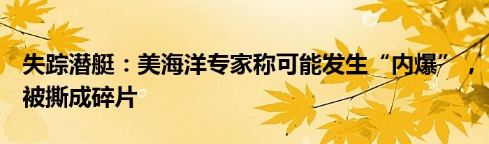 失踪潜艇:美海洋专家称可能发生“内爆”,被撕成碎片