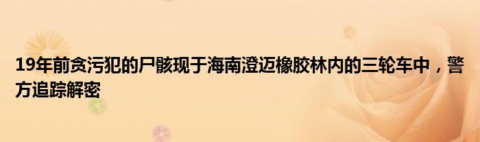 19年前贪污犯的尸骸现于海南澄迈橡胶林内的三轮车中,警方追踪解密