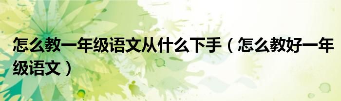 怎么教一年级语文从什么下手(怎么教好一年级语文)