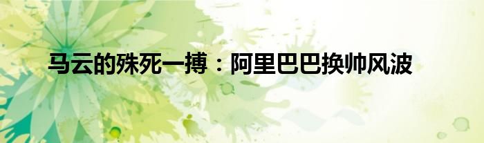 马云的殊死一搏:阿里巴巴换帅风波