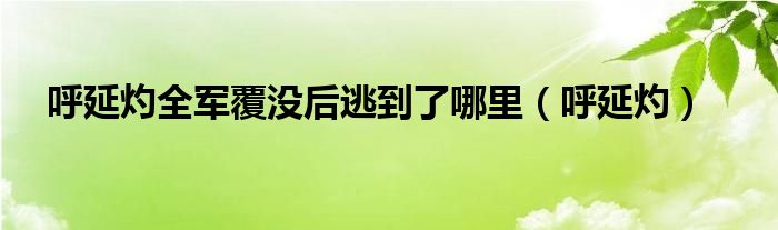 呼延灼全军覆没后逃到了哪里(呼延灼)