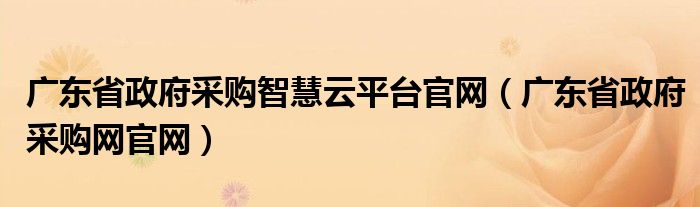 广东省政府采购智慧云平台官网(广东省政府采购网官网)
