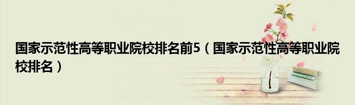 国家示范性高等职业院校排名前5(国家示范性高等职业院校排名)
