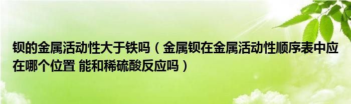 钡的金属活动性大于铁吗(金属钡在金属活动性顺序表中应在哪个位置 能和稀硫酸反应吗)