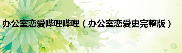 办公室恋爱哔哩哔哩(办公室恋爱史完整版)