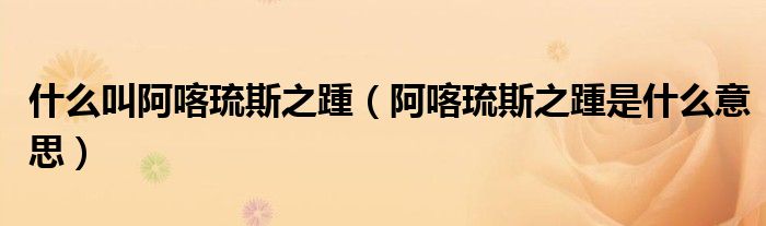 什么叫阿喀琉斯之踵(阿喀琉斯之踵是什么意思)