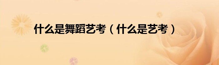 什么是舞蹈艺考(什么是艺考)