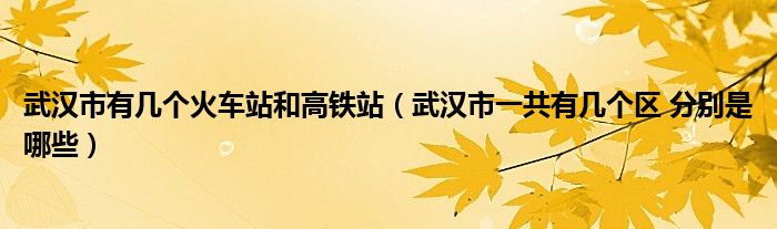 武汉市有几个火车站和高铁站(武汉市一共有几个区 分别是哪些)