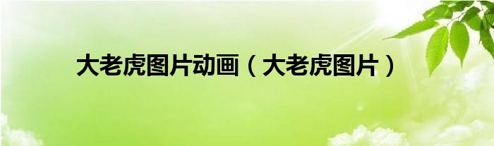 大老虎图片动画(大老虎图片)
