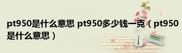 pt950是什么意思 pt950多少钱一克(pt950是什么意思)