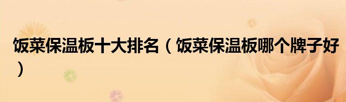 饭菜保温板十大排名(饭菜保温板哪个牌子好)