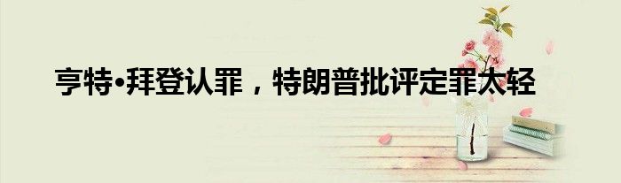 亨特·拜登认罪,特朗普批评定罪太轻