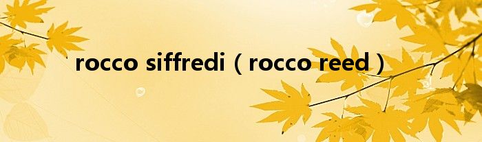 rocco siffredi(rocco reed)