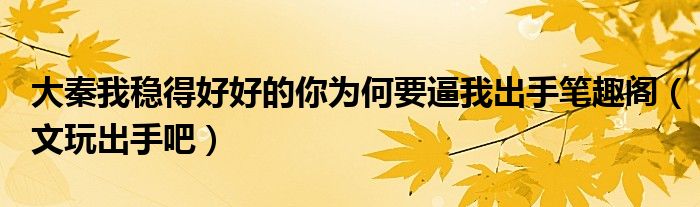 大秦我稳得好好的你为何要逼我出手笔趣阁(文玩出手吧)