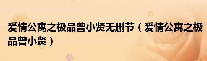 爱情公寓之极品曾小贤无删节(爱情公寓之极品曾小贤)