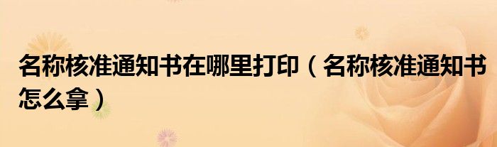 名称核准通知书在哪里打印(名称核准通知书怎么拿)