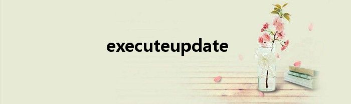 executeupdate