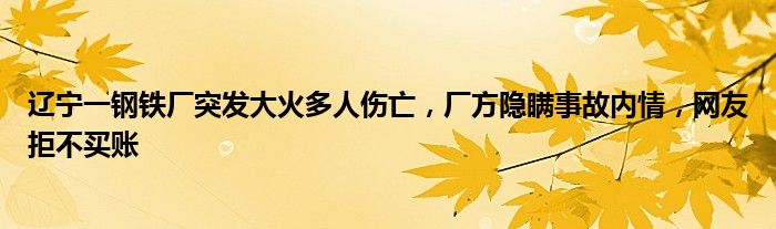 辽宁一钢铁厂突发大火多人伤亡,厂方隐瞒事故内情,网友拒不买账