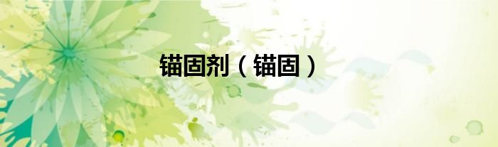 锚固剂（锚固）