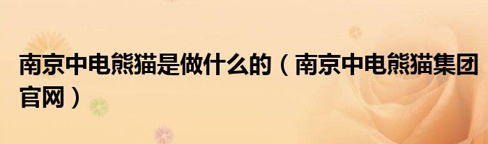 南京中电熊猫是做什么的(南京中电熊猫集团官网)
