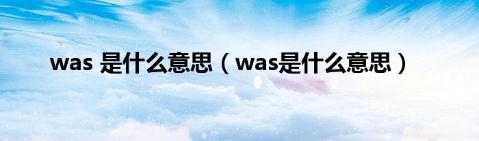 was 是什么意思(was是什么意思)