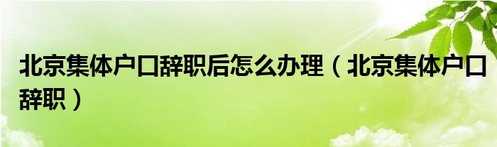 北京集体户口辞职后怎么办理(北京集体户口辞职)