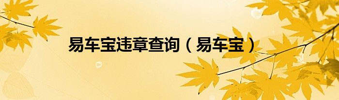 易车宝违章查询（易车宝）