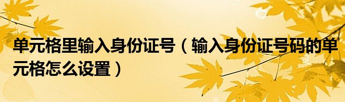 单元格里输入身份证号(输入身份证号码的单元格怎么设置)