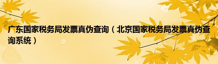 广东国家税务局发票真伪查询(北京国家税务局发票真伪查询系统)