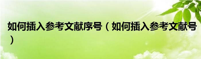 如何插入参考文献序号(如何插入参考文献号)