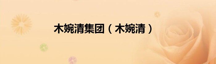 木婉清集团(木婉清)