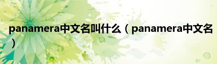 panamera中文名叫什么(panamera中文名)