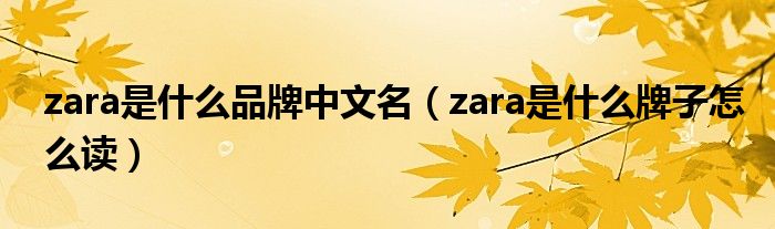 zara是什么品牌中文名(zara是什么牌子怎么读)