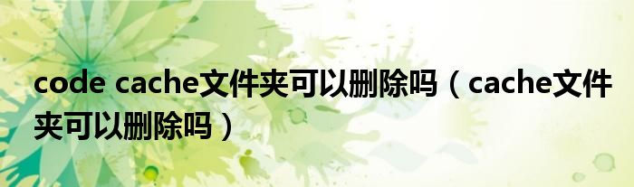 code cache文件夹可以删除吗(cache文件夹可以删除吗)