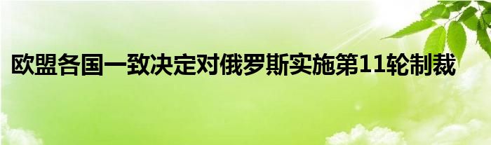 欧盟各国一致决定对俄罗斯实施第11轮制裁
