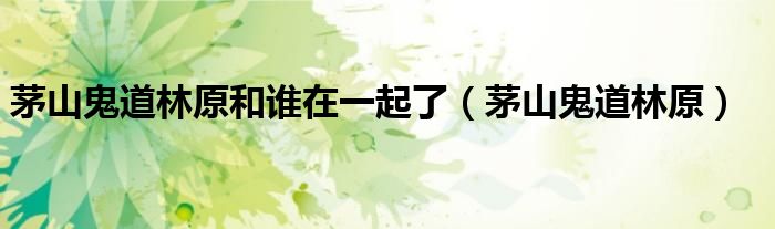 茅山鬼道林原和谁在一起了(茅山鬼道林原)
