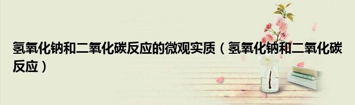 氢氧化钠和二氧化碳反应的微观实质(氢氧化钠和二氧化碳反应)