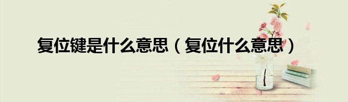 复位键是什么意思(复位什么意思)