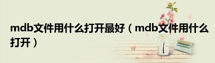 mdb文件用什么打开最好(mdb文件用什么打开)