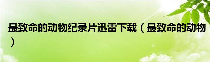 最致命的动物纪录片迅雷下载(最致命的动物)