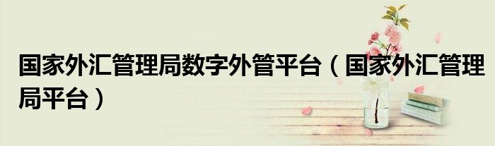 国家外汇管理局数字外管平台(国家外汇管理局平台)