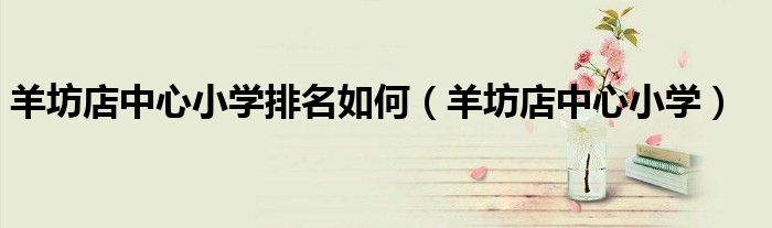 羊坊店中心小学排名如何(羊坊店中心小学)